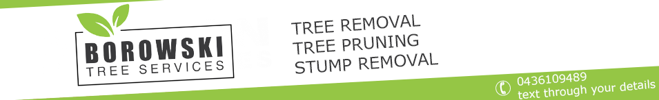 Yarrawonga Tree Removal-Borowski Tree Services. Text through your details to 0436109489